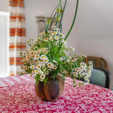 Apartment Bi-anne-to-huus