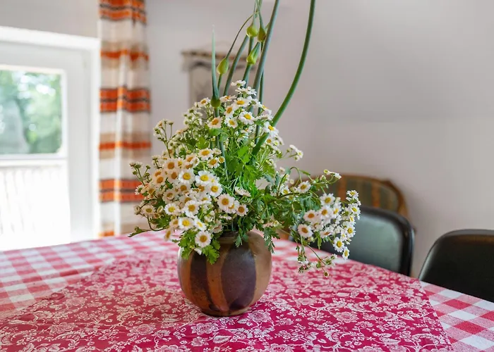 Bi-anne-to-huus Apartman